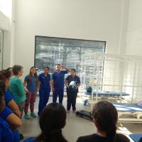 galeria